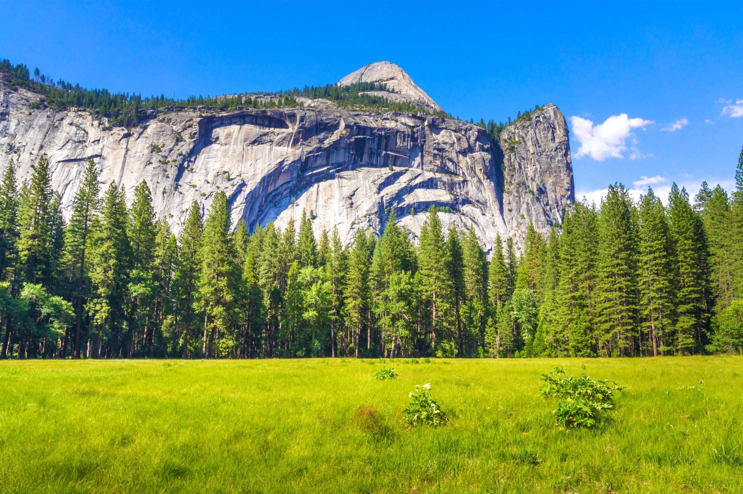 Yosemite National Park